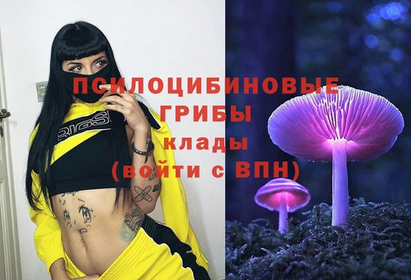 дживик Алзамай