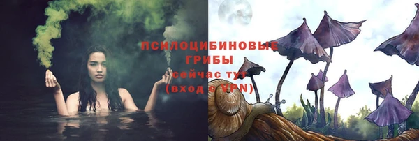 дживик Алзамай
