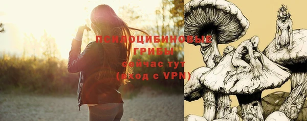 дживик Алзамай