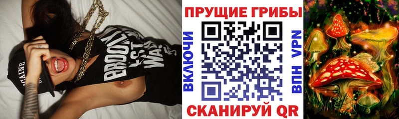 где можно купить   Коркино  Галлюциногенные грибы мухоморы 